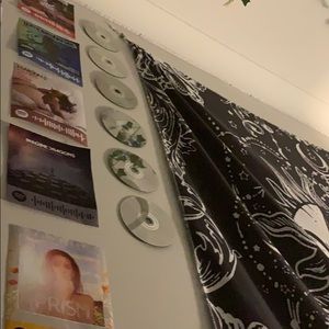 Meet your Posher, Mackenzie